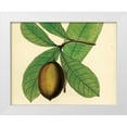 thumbnail image 1 of Alexander, Zachary 18x15 White Modern Wood Framed Museum Art Print Titled - Palmetto IV, 1 of 4