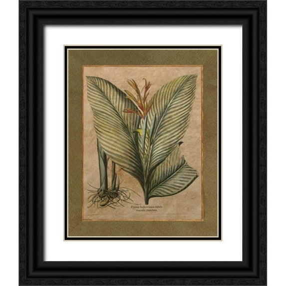 Alexander, Zachary 26x32 Black Ornate Wood Framed with Double Matting Museum Art Print Titled - Valencia II