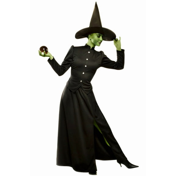 Alexander's Costumes Women's Classic Witch Dress Costume - Size Medium