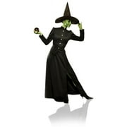 Alexander's Costumes Women's Classic Witch Dress Costume - Size X Large