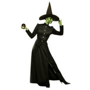 Alexanders Costumes AA86001SM Women's Deluxe Classic Witch Costume - Small