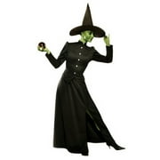 Alexanders Costumes AA86001XXL Women's Plus Size Deluxe Classic Witch Costume