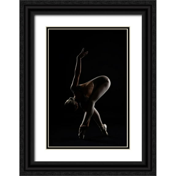 Alexandr 11x14 Black Ornate Wood Framed with Double Matting Museum Art Print Titled - The Bird