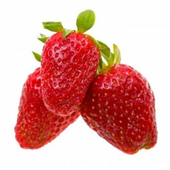 Alexandria Strawberry - 25 Plants - Fragaria