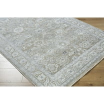 Boutique Rugs Alexia Traditional Area Rug - Light Gray, Medium Gray, Charcoal - 2' x 2'11"