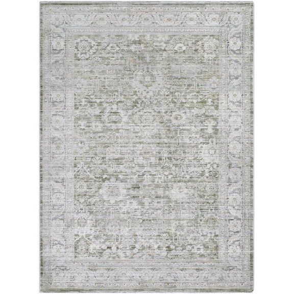 BoutiqueRugs Alexia Traditional Area Rug - Light Gray, Medium Gray, Charcoal - 7'10" x 10'