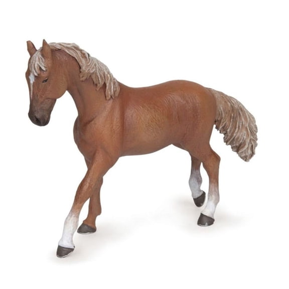 Alezan English Mare