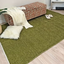 Alfa Rich 3x5 Green Area Rugs for Living Room Bedroom Kitchen Cotton Washable Pet Friendly Runner