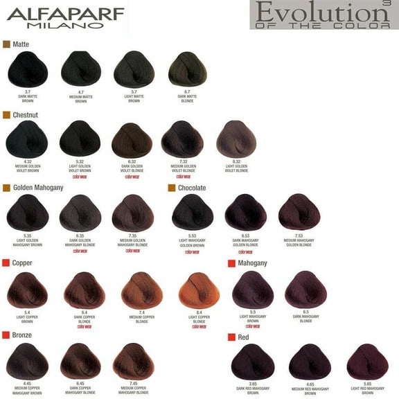 Alfa parf Evolution of the Color Permanent Hair Color, 2 oz (4.32 Medium Golden Violet Brown)