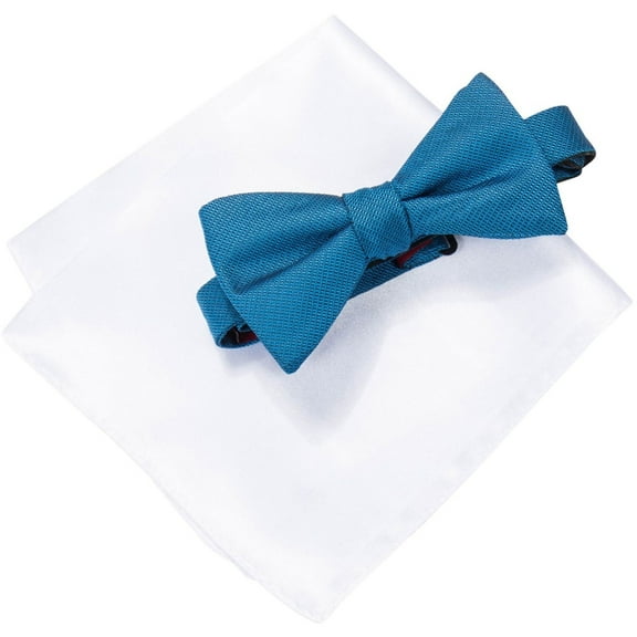 Alfani Mens 2-Piece Neck Tie Set, Blue, One Size