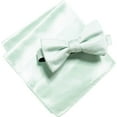 thumbnail image 1 of Alfani Mens Satin Cocktail Bow Tie One Size Posage, 1 of 1