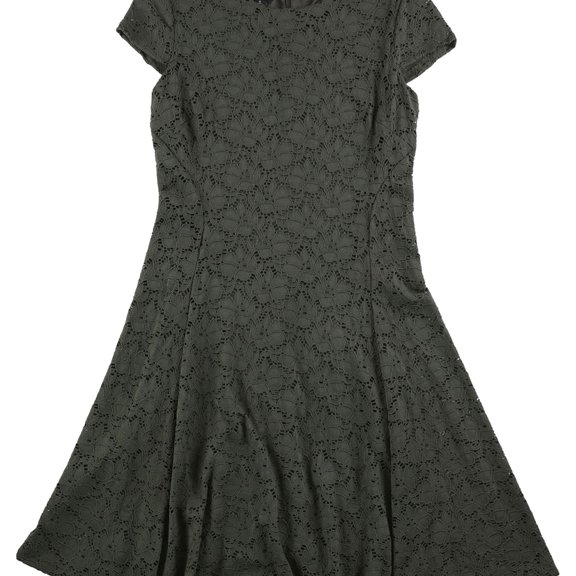 Alfani Womens Lace A-line Dress, Green, 12