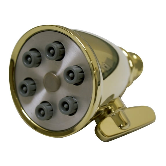 Whitehaus WH138-B Six Hole Polished Brass Round Rainfall Showerhead