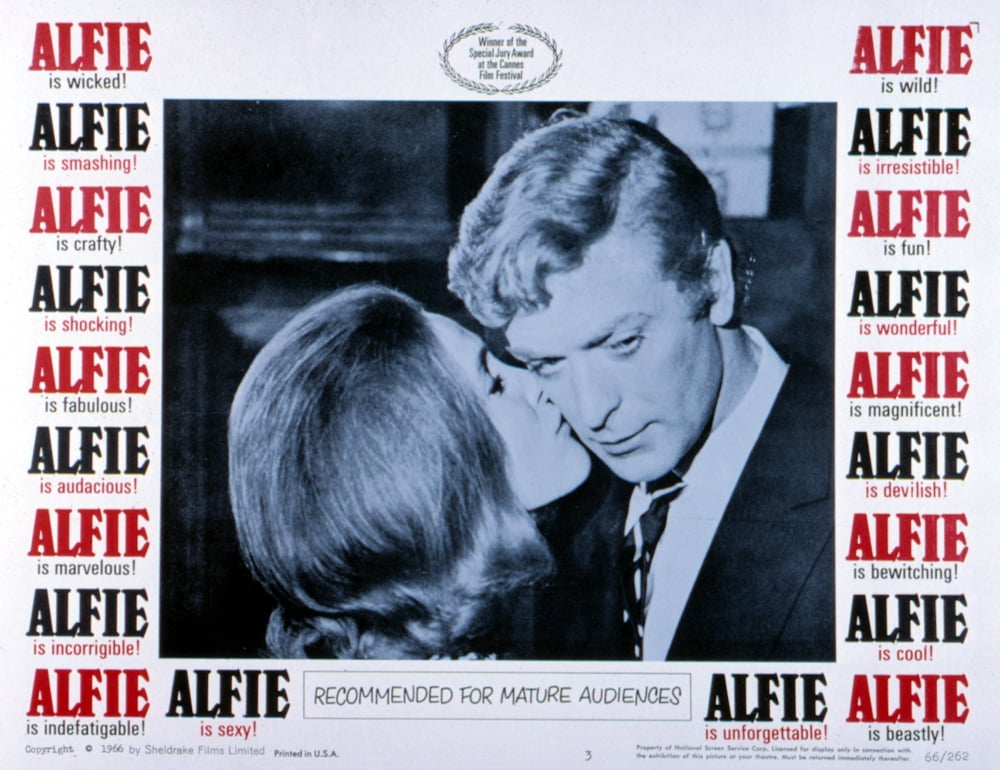 Alfie Canvas Art - (28 x 22)