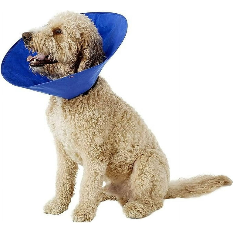 Alfie pet recovery collar top