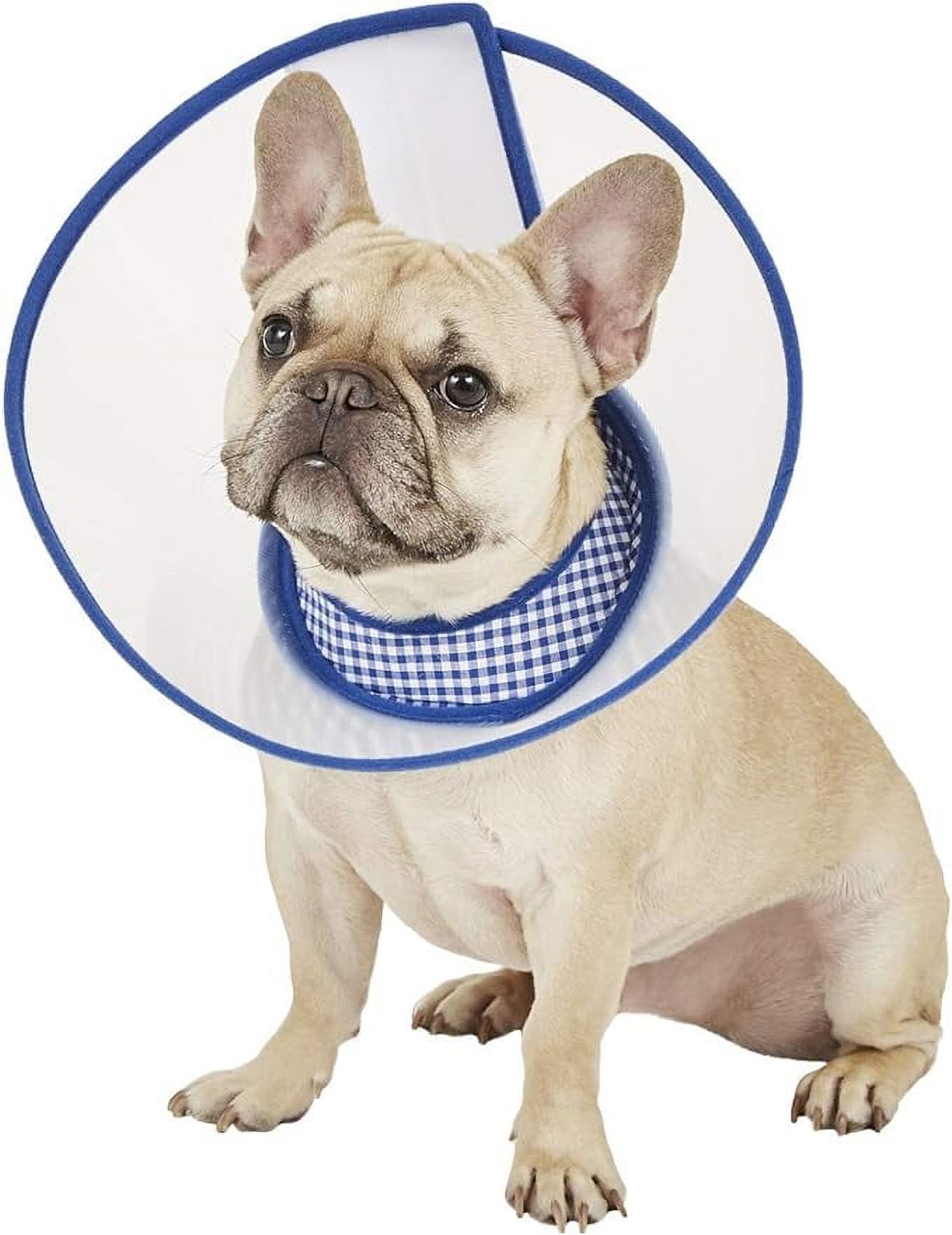 Alfie Pet Zumi Recovery Collar with Soft Edge for Dogs Cats Color Blue Size Large Walmart