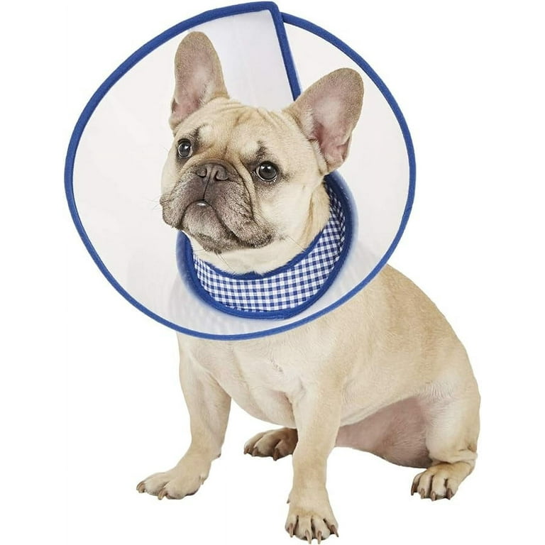 Alfie Pet Zumi Recovery Collar with Soft Edge for Dogs Cats Color Blue Size Large Walmart