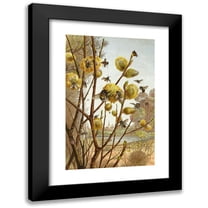 Alfred Edmund Brehm 11x14 Black Modern Framed Museum Art Print Titled - The Insects, Thousands and Spiders Pl 07 (1877)