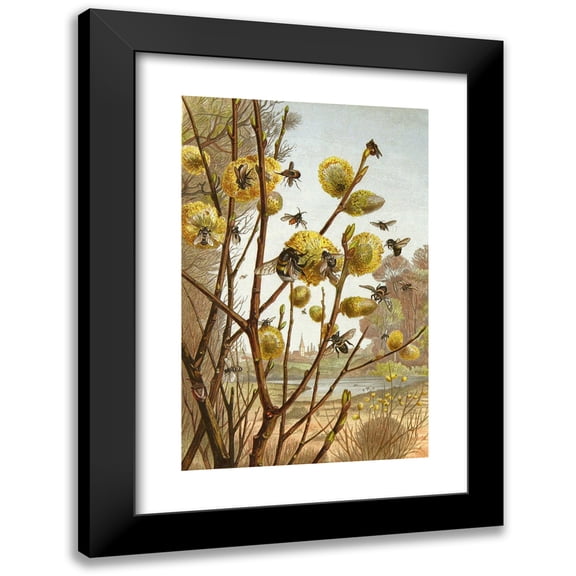 Alfred Edmund Brehm 11x14 Black Modern Framed Museum Art Print Titled - The Insects, Thousands and Spiders Pl 07 (1877)