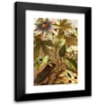 thumbnail image 1 of Alfred Edmund Brehm 11x14 Black Modern Framed Museum Art Print Titled - The Insects, Thousands and Spiders Pl 19 (1877), 1 of 5