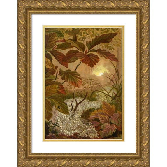 Alfred Edmund Brehm 11x14 Gold Ornate Wood Frame and Double Matted Museum Art Print Titled - The Insects, Thousands and Spiders Pl 12 (1877)