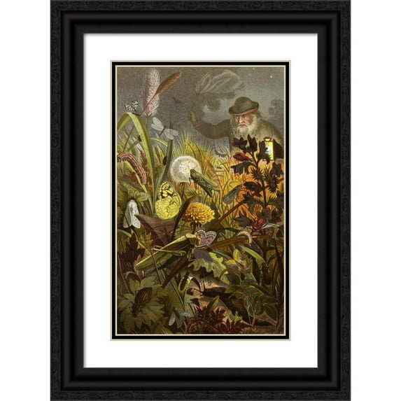Alfred Edmund Brehm 13x18 Black Ornate Wood Framed Double Matted Museum Art Print Titled - The Insects, Thousands and Spiders Pl 18 (1877)