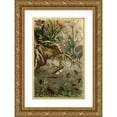 thumbnail image 1 of Alfred Edmund Brehm 13x18 Gold Ornate Wood Frame and Double Matted Museum Art Print Titled - The Insects, Thousands and Spiders Pl 20 (1877), 1 of 4