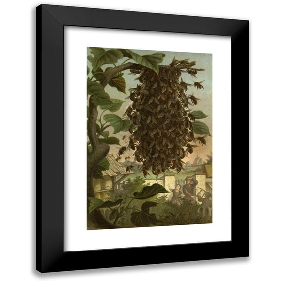Alfred Edmund Brehm 17x24 Black Modern Framed Museum Art Print Titled - The Insects, Thousands and Spiders Pl 08 (1877)