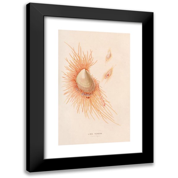 Alfred Frédol 10x14 Black Modern Framed Museum Art Print Titled - Tender Lima (1866)