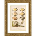 thumbnail image 1 of Alfred Frédol 12x18 Gold Ornate Wood Frame and Double Matted Museum Art Print Titled - Development of a Bird (1866), 1 of 4