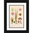 thumbnail image 1 of Alfred Frédol 13x18 Black Ornate Wood Framed Double Matted Museum Art Print Titled - Seaweed (1866), 1 of 5