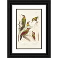 thumbnail image 1 of Alfred Malherbe 11x14 Black Ornate Wood Framed Double Matted Museum Art Print Titled: Monograph of Picidae Pl13 (1861-1862), 1 of 5
