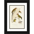 thumbnail image 1 of Alfred Malherbe 11x14 Black Ornate Wood Framed Double Matted Museum Art Print Titled: Monograph of Picidae Pl24 (1861-1862), 1 of 5
