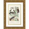 thumbnail image 1 of Alfred Malherbe 13x18 Gold Ornate Wood Frame and Double Matted Museum Art Print Titled - Monograph of Picidae Pl32 (1861-1862), 1 of 4