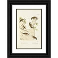 thumbnail image 1 of Alfred Malherbe 17x24 Black Ornate Framed Double Matted Museum Art Print Titled: Monograph of Picidae Pl46 (1861-1862), 1 of 5