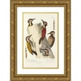 thumbnail image 1 of Alfred Malherbe 17x24 Gold Ornate Framed and Double Matted Museum Art Print Titled - Monograph of Picidae Pl08 (1861-1862), 1 of 4
