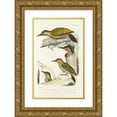 thumbnail image 1 of Alfred Malherbe 17x24 Gold Ornate Framed and Double Matted Museum Art Print Titled - Monograph of Picidae Pl16 (1861-1862), 1 of 4