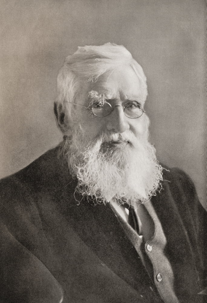 Alfred Russel Wallace 1823 Canvas Art - Ken Welsh Design Pics (12 x 18)
