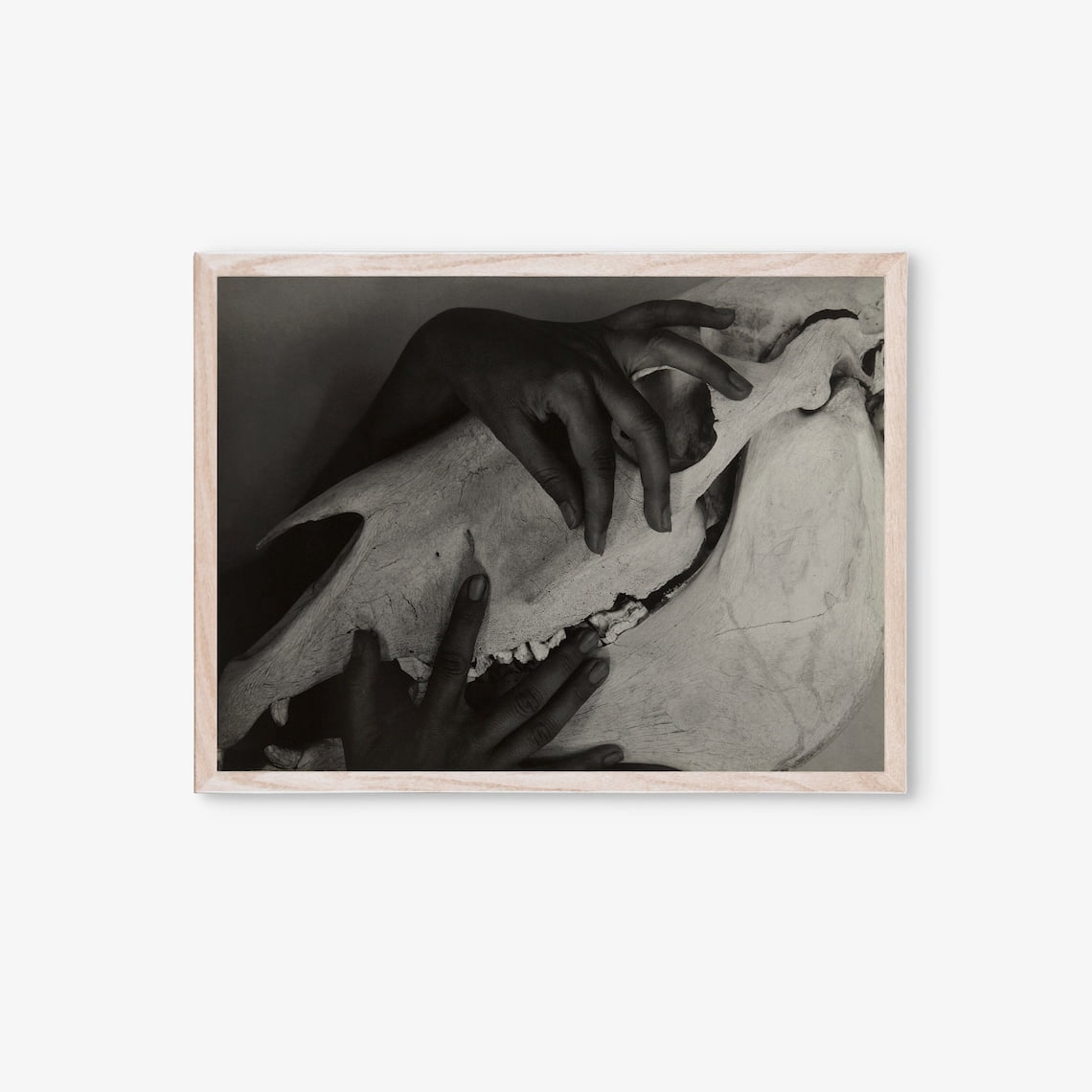 Alfred Stieglitz Georgia OKeeffe Hands And Horse Skull Wall Art Print ...