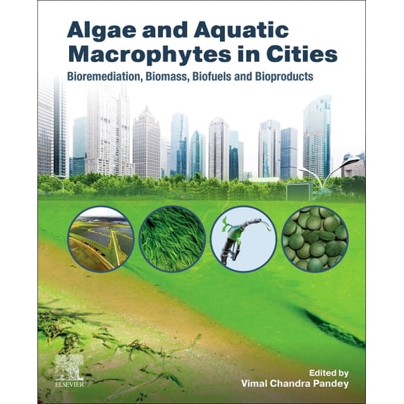 Algae and Aquatic Macrophytes in Cities: Bioremediation, Biomass, Biofuels and Bioproducts, (Paperback)