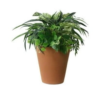 Algreen  17 x 16 x 16 in. Olympus Self Watering Planter, Terra Cotta