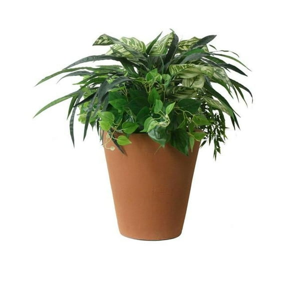 Algreen 17 x 16 x 16 in. Olympus Self Watering Planter, Terra Cotta