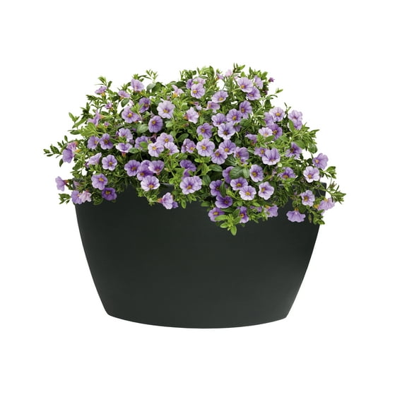 Algreen Hampton Corner Planter, Black