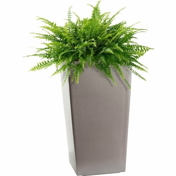 Algreen Modena 30-In. Square Taper Planter, Self-Watering, Matte Granite