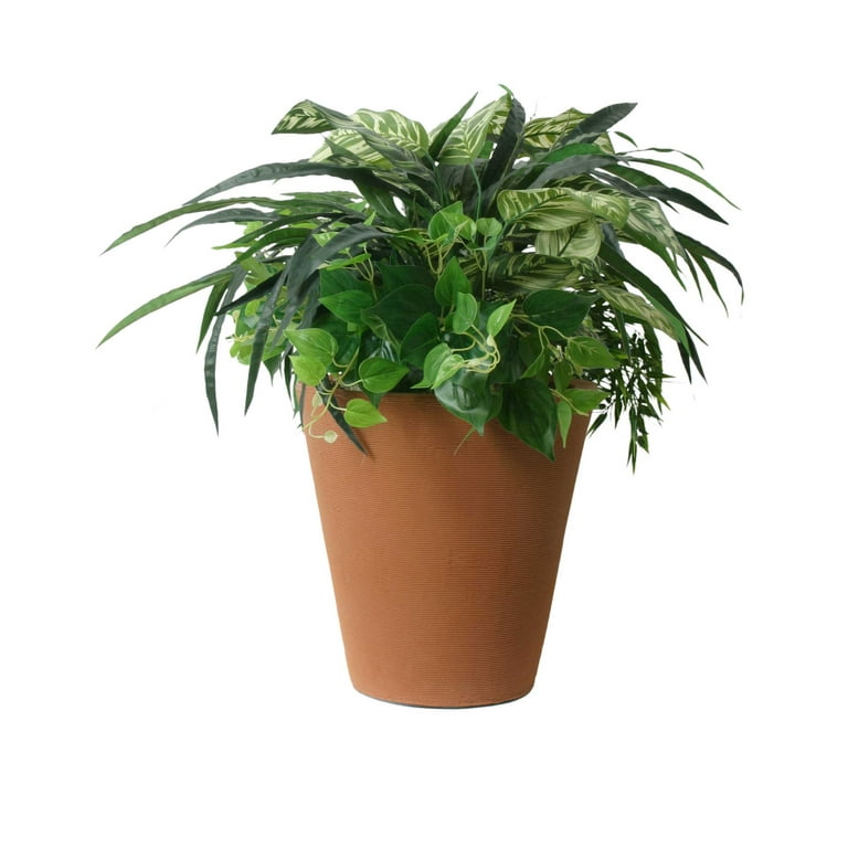 Algreen Athena Planter, 20-Inch Height by 12.6-In., Self-Watering Planter, Charcoalstone Algreen Athena Planter, 20-Inch Height by 12.6-In., Self-Watering Planter, Charcoalstone