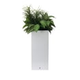 thumbnail image 1 of Algreen Modena 26" Self-Watering Planter, Pillar, Gloss White, 1 of 7