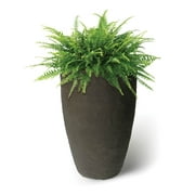 Algreen Products Athena 28.5" Self-Watering Flower Pot & Planter, Brown