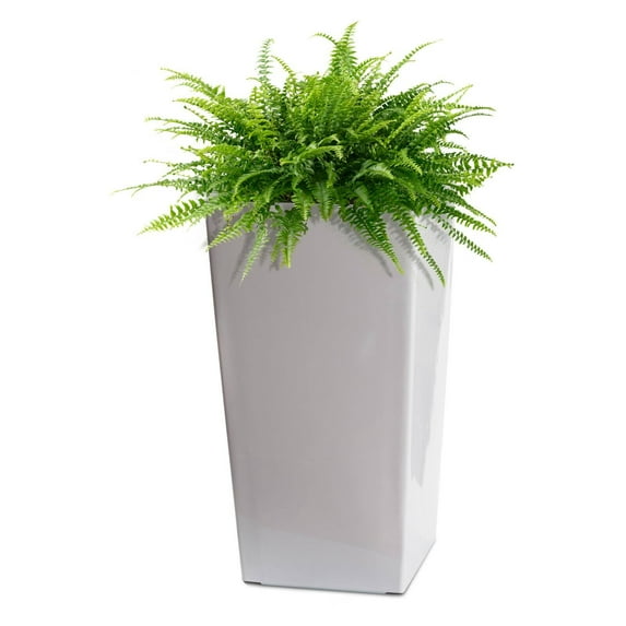 Algreen Self Watering Modena Square Planter