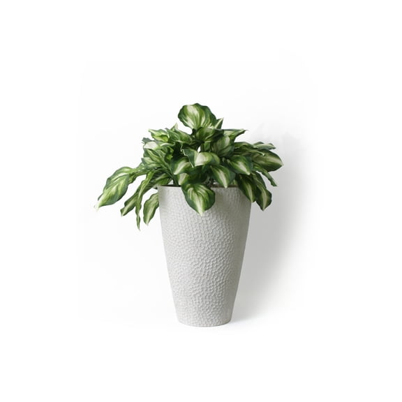 algreen vase planter with hammer texture - weathered white