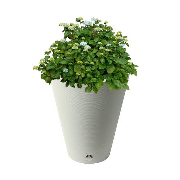 Algreen Valencia, Round Ribbed Planter 15-In.by 18.5-In., White